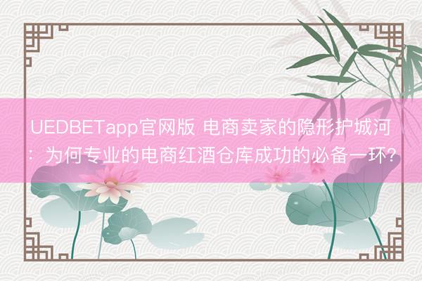 UEDBETapp官网版 电商卖家的隐形护城河:为何专业的电商红酒仓库成功的必备一环?