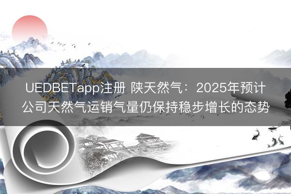 UEDBETapp注册 陕天然气：2025年预计公司天然气运销气量仍保持稳步增长的态势