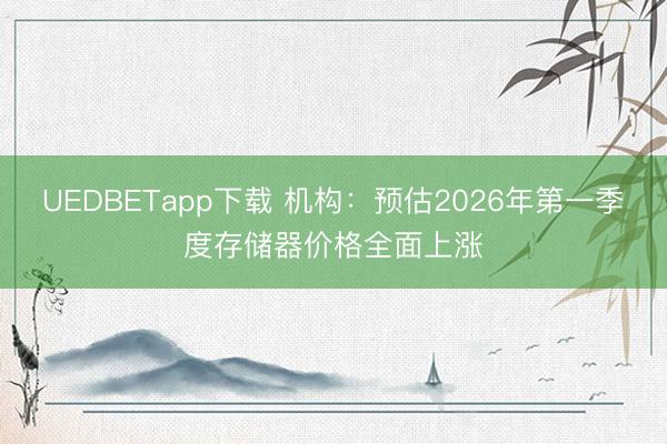 UEDBETapp下载 机构：预估2026年第一季度存储器价格全面上涨