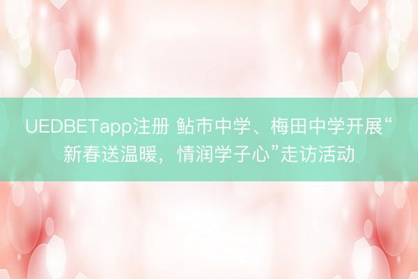 UEDBETapp注册 鲇市中学、梅田中学开展“新春送温暖,情润学子心”走访活动