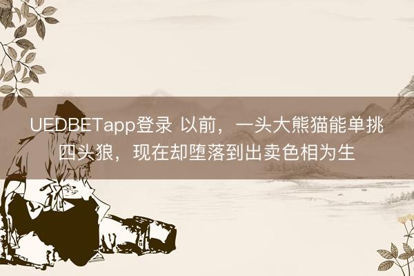 UEDBETapp登录 以前,一头大熊猫能单挑四头狼,现在却堕落到出卖色相为生