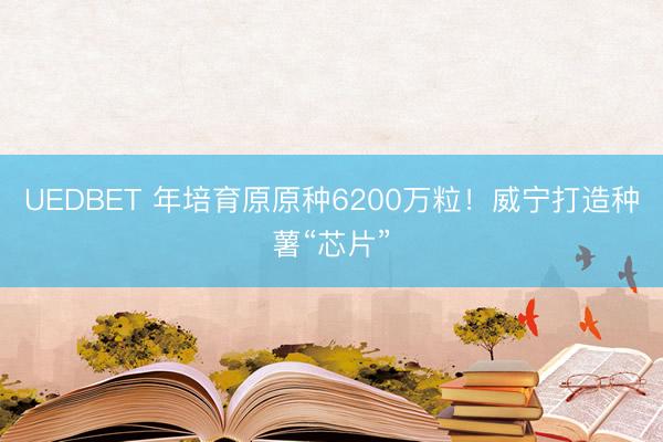 UEDBET 年培育原原种6200万粒！威宁打造种薯“芯片”