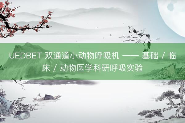 UEDBET 双通道小动物呼吸机 —— 基础 / 临床 / 动物医学科研呼吸实验