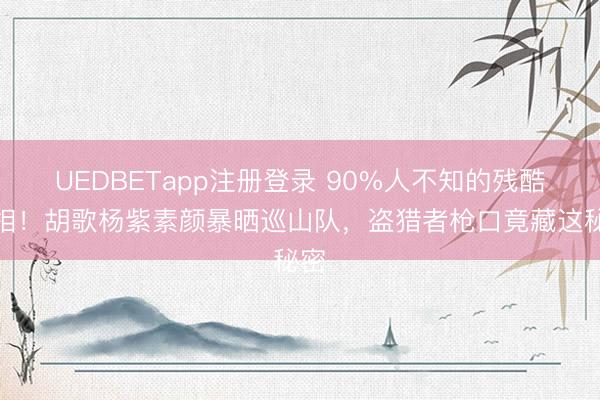 UEDBETapp注册登录 90%人不知的残酷真相！胡歌杨紫素颜暴晒巡山队，盗猎者枪口竟藏这秘密