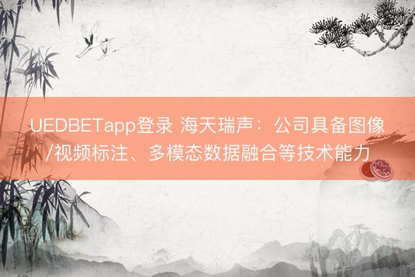 UEDBETapp登录 海天瑞声：公司具备图像/视频标注、多模态数据融合等技术能力