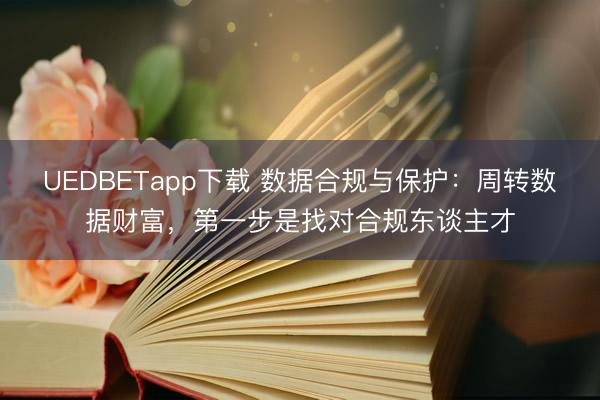 UEDBETapp下载 数据合规与保护：周转数据财富，第一步是找对合规东谈主才