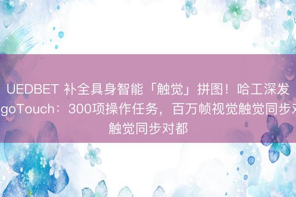 UEDBET 补全具身智能「触觉」拼图！哈工深发布EgoTouch：300项操作任务，百万帧视觉触觉同步对都
