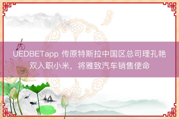 UEDBETapp 传原特斯拉中国区总司理孔艳双入职小米，将雅致汽车销售使命