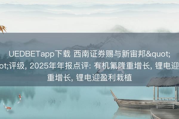 UEDBETapp下载 西南证券赐与新宙邦"买入"评级, 2025年年报点评: 有机氟隆重增长, 锂电迎盈利栽植