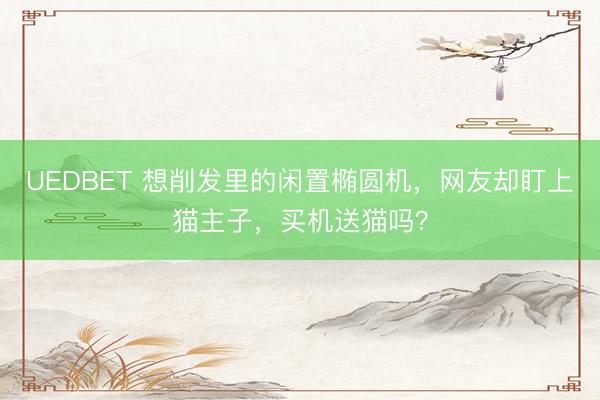 UEDBET 想削发里的闲置椭圆机，网友却盯上猫主子，买机送猫吗？