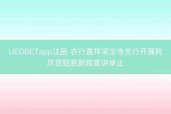 UEDBETapp注册 农行嘉祥梁宝寺支行开展耗尽贷贴息新政宣讲举止