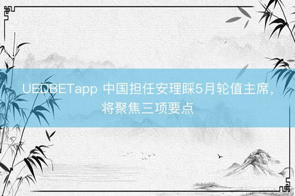 UEDBETapp 中国担任安理睬5月轮值主席，将聚焦三项要点