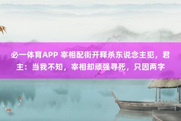 必一体育APP 宰相配街开释杀东说念主犯,君主:当我不知,宰相却顽强寻死,只因两字