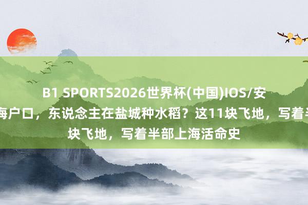 B1 SPORTS2026世界杯(中国)IOS/安卓官方下载 上海户口,东说念主在盐城种水稻?这11块飞地,写着半部上海活命史