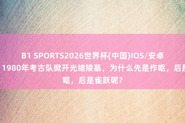B1 SPORTS2026世界杯(中国)IOS/安卓官方下载 1980年考古队掀开光绪陵墓，为什么先是作呕，后是雀跃呢？