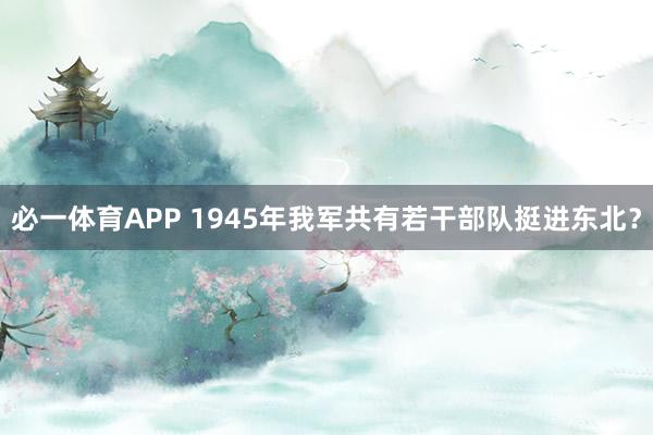 必一体育APP 1945年我军共有若干部队挺进东北？