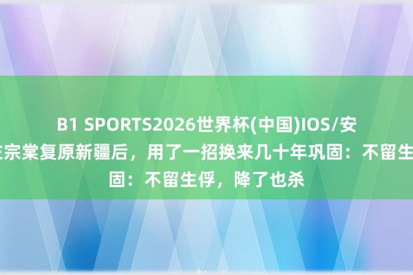 B1 SPORTS2026世界杯(中国)IOS/安卓官方下载 左宗棠复原新疆后,用了一招换来几十年巩固:不留生俘,降了也杀