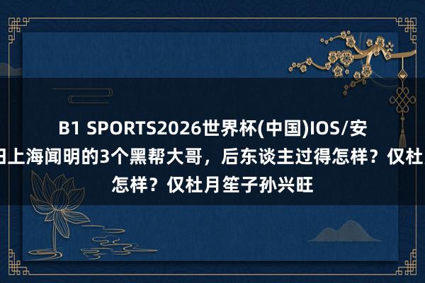 B1 SPORTS2026世界杯(中国)IOS/安卓官方下载 旧上海闻明的3个黑帮大哥，后东谈主过得怎样？仅杜月笙子孙兴旺
