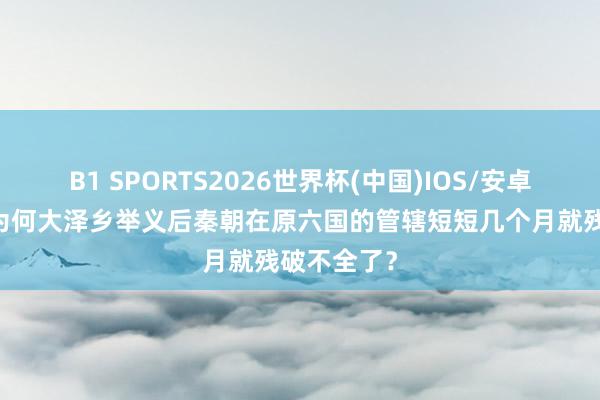B1 SPORTS2026世界杯(中国)IOS/安卓官方下载 为何大泽乡举义后秦朝在原六国的管辖短短几个月就残破不全了？