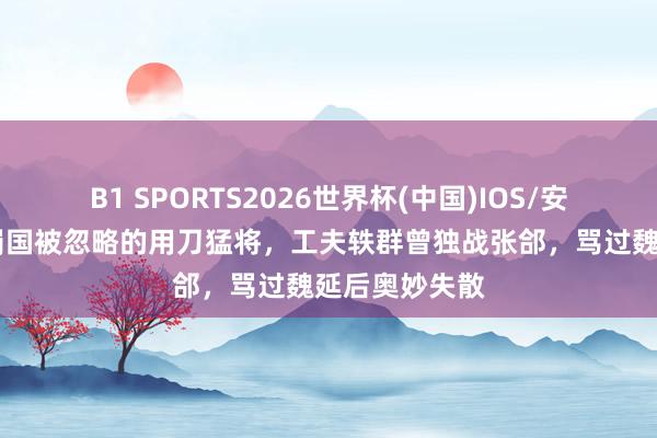 B1 SPORTS2026世界杯(中国)IOS/安卓官方下载 蜀国被忽略的用刀猛将，工夫轶群曾独战张郃，骂过魏延后奥妙失散