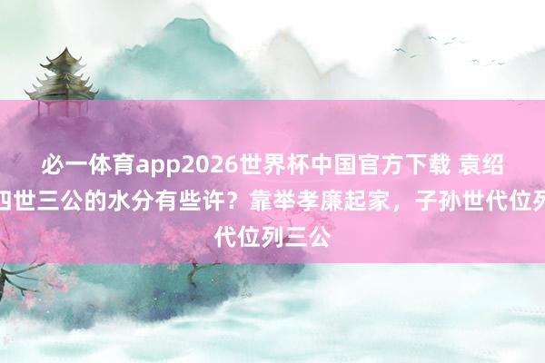 必一体育app2026世界杯中国官方下载 袁绍眷属四世三公的水分有些许？靠举孝廉起家，子孙世代位列三公
