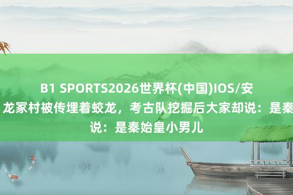 B1 SPORTS2026世界杯(中国)IOS/安卓官方下载 龙冢村被传埋着蛟龙，考古队挖掘后大家却说：是秦始皇小男儿
