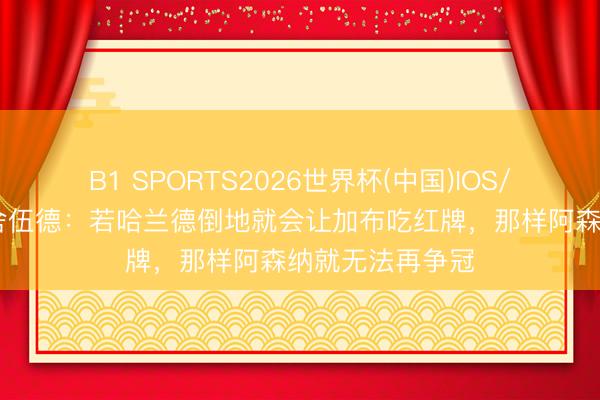 B1 SPORTS2026世界杯(中国)IOS/安卓官方下载 舍伍德：若哈兰德倒地就会让加布吃红牌，那样阿森纳就无法再争冠