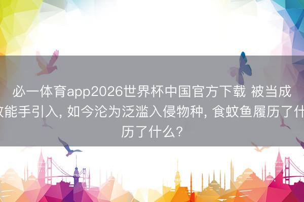 必一体育app2026世界杯中国官方下载 被当成灭蚊能手引入， 如今沦为泛滥入侵物种， 食蚊鱼履历了什么?