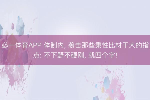 必一体育APP 体制内， 袭击那些秉性比材干大的指点: 不下野不硬刚， 就四个字!