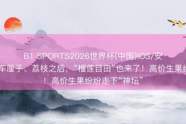 B1 SPORTS2026世界杯(中国)IOS/安卓官方下载 继车厘子、荔枝之后，“榴莲目田”也来了！高价生果纷纷走下“神坛”