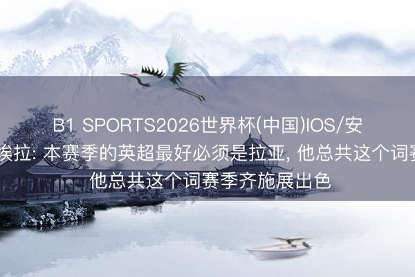 B1 SPORTS2026世界杯(中国)IOS/安卓官方下载 维埃拉: 本赛季的英超最好必须是拉亚， 他总共这个词赛季齐施展出色
