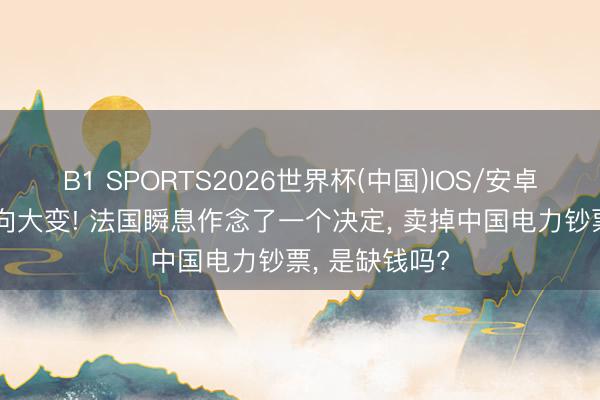 B1 SPORTS2026世界杯(中国)IOS/安卓官方下载 风向大变! 法国瞬息作念了一个决定， 卖掉中国电力钞票， 是缺钱吗?