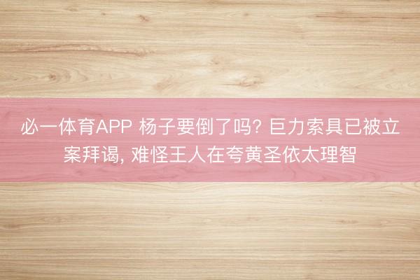 必一体育APP 杨子要倒了吗? 巨力索具已被立案拜谒， 难怪王人在夸黄圣依太理智