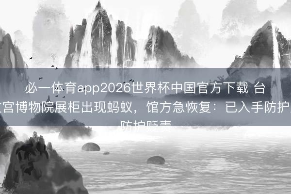 必一体育app2026世界杯中国官方下载 台北故宫博物院展柜出现蚂蚁，馆方急恢复：已入手防护贬责