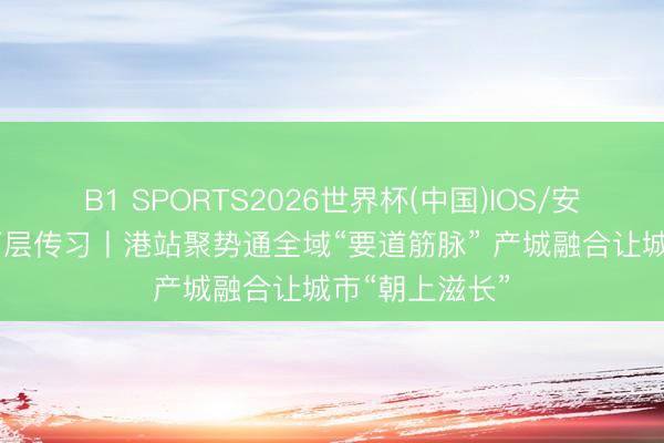 B1 SPORTS2026世界杯(中国)IOS/安卓官方下载 下层传习丨港站聚势通全域“要道筋脉” 产城融合让城市“朝上滋长”