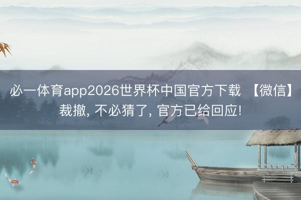 必一体育app2026世界杯中国官方下载 【微信】裁撤， 不必猜了， 官方已给回应!