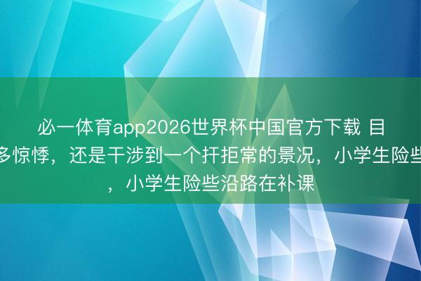 必一体育app2026世界杯中国官方下载 目下的进修有多惊悸，还是干涉到一个扞拒常的景况，小学生险些沿路在补课