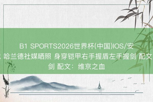 B1 SPORTS2026世界杯(中国)IOS/安卓官方下载 哈兰德社媒晒照 身穿铠甲右手握盾左手握剑 配文：维京之血