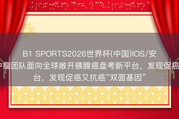 B1 SPORTS2026世界杯(中国)IOS/安卓官方下载 复旦肿瘤团队面向全球敞开胰腺癌盘考新平台，发现促癌又抗癌“双面基因”