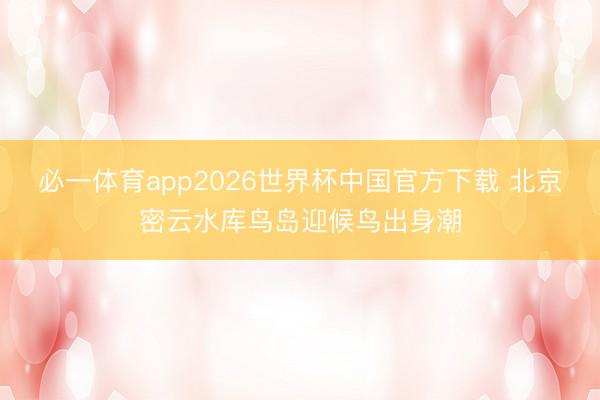 必一体育app2026世界杯中国官方下载 北京密云水库鸟岛迎候鸟出身潮