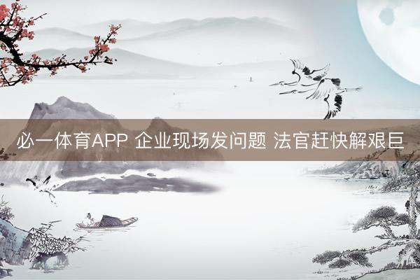 必一体育APP 企业现场发问题 法官赶快解艰巨
