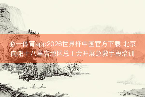 必一体育app2026世界杯中国官方下载 北京向阳十八里店地区总工会开展急救手段培训
