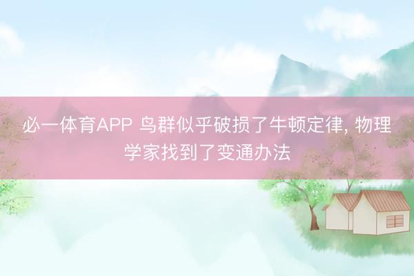 必一体育APP 鸟群似乎破损了牛顿定律， 物理学家找到了变通办法