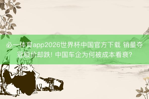 必一体育app2026世界杯中国官方下载 销量夺冠股价却跌! 中国车企为何被成本看衰?